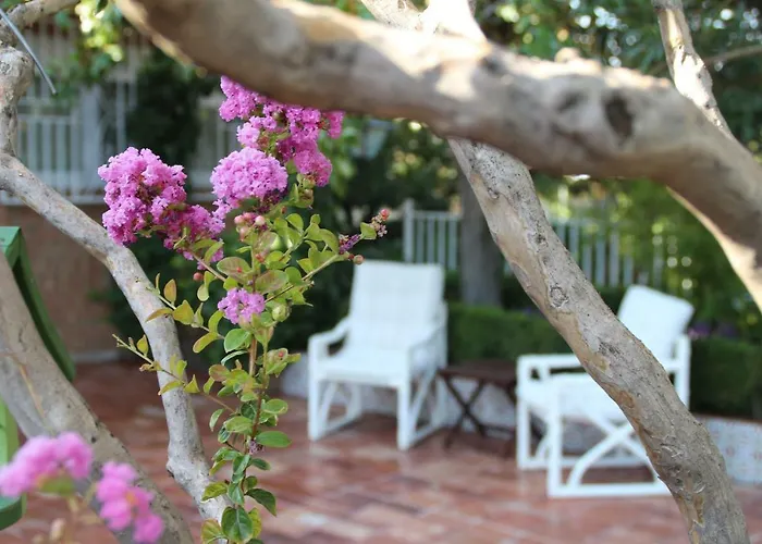 Hébergement de vacances El Jardin De La Abuela