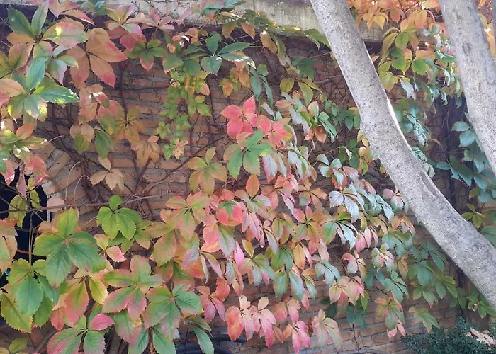 El Jardin De La Abuela Hébergement de vacances *