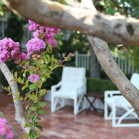 Сasa de vacaciones El Jardín De La Abuela