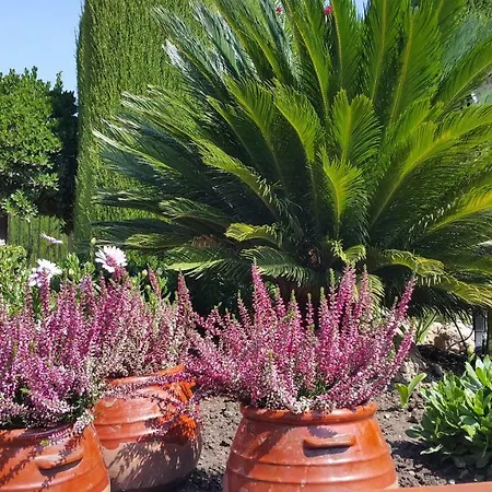 El Jardín De La Abuela * Granada
