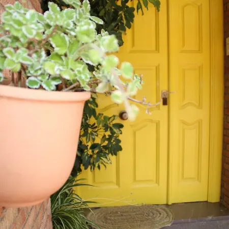 El Jardín De La Abuela Granada