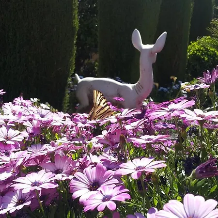 El Jardín De La Abuela