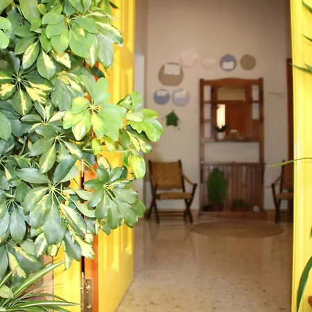 El Jardín De La Abuela * Granada