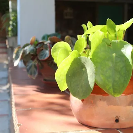 Сasa de vacaciones El Jardín De La Abuela Granada