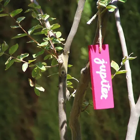El Jardín De La Abuela Сasa de vacaciones