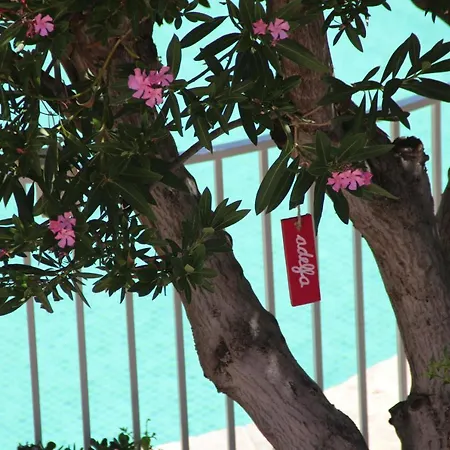 El Jardín De La Abuela * Granada