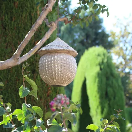 El Jardín De La Abuela *