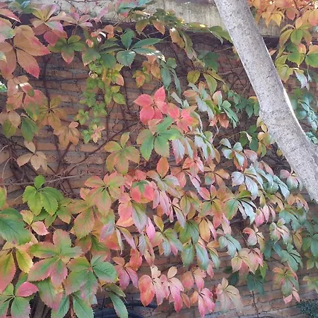 El Jardin De La Abuela Vakantiehuis *