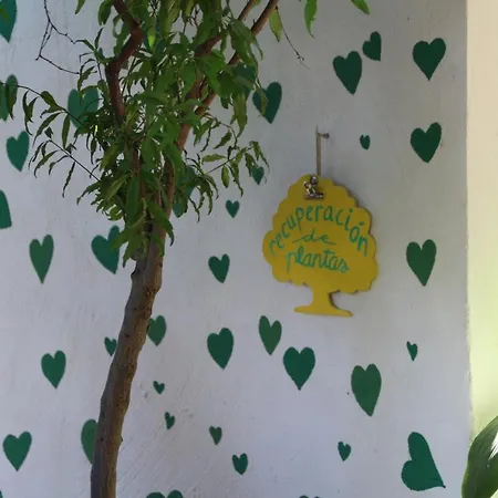 Vakantiehuis El Jardin De La Abuela Granada